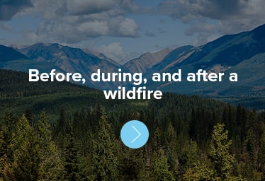 Before, during, and after a wildfire